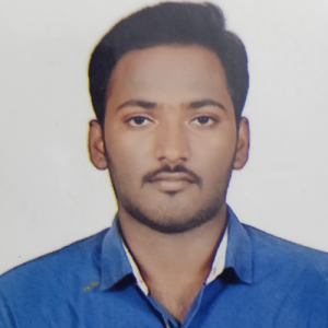 Srinivasan P-Freelancer in Chennai,India