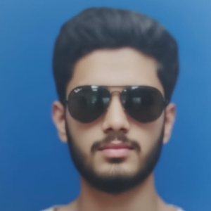 Ammar Logade-Freelancer in Mumbai,India