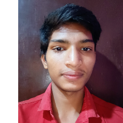 Ankit Prajapati-Freelancer in Mumbai,India