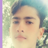 Sajid Sherazii-Freelancer in Kasur,Pakistan