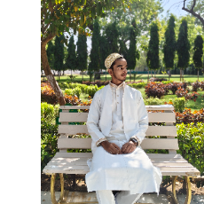 Taha Husain-Freelancer in Jaora,India