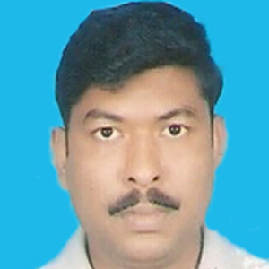 Biswajit Majumder-Freelancer in Kolkata,India