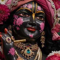 Diksha Rajawat-Freelancer in Jaipur Division,India
