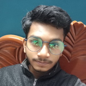 Rajib Roy-Freelancer in Chandipur,India