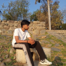 Ayush K9-Freelancer in Chandigarh,India