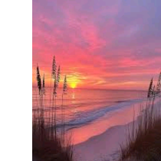 Haniya-Freelancer in Rawalpindi,Pakistan