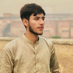 Muhammad Bahzad-Freelancer in Faisalabad,Pakistan