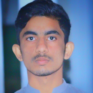 Abdullah Naeem Realestate-Freelancer in Depalpur,Pakistan