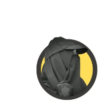 Syeda Wajeeha-Freelancer in Karachi,Pakistan