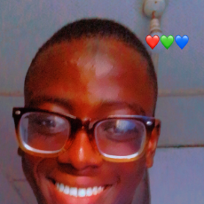 Sodiq Raji-Freelancer in Kajola,Nigeria
