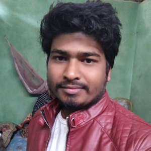 Pranay Mandal-Freelancer in ,India