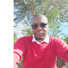 Methusellah Wanekeya-Freelancer in Nairobi,Kenya