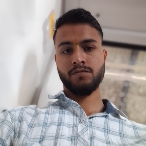Alankrit Raghuvanshi-Freelancer in Faridabad,India