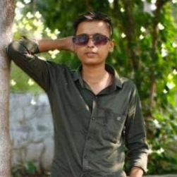 Dileep Prajapati-Freelancer in Ahmedabad,India