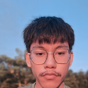 LONLYBOE SANA-Freelancer in SILCHAR,India
