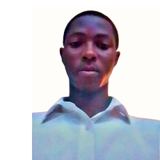 Israel Atsisey-Freelancer in Adenta Municipality,Ghana