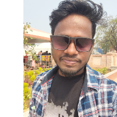 Sridhar Pradhan-Freelancer in Nua Hata,India