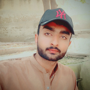Alil Zain-Freelancer in Kamalia,Pakistan