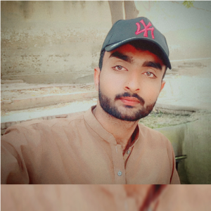 Alil Zain-Freelancer in Kamalia,Pakistan