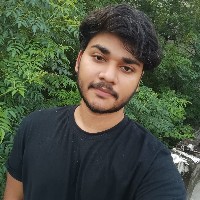 sultan ansari-Freelancer in Ropar Division,India