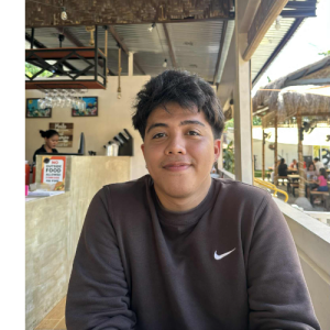 Francis Nits Gayo-Freelancer in Cebu City,Philippines