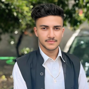 Armaandeep Dhiraj-Freelancer in Jalandhar,India