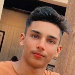 anil-Freelancer in hansi,India