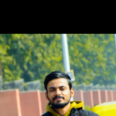 Vishesh Singh-Freelancer in Noida,India