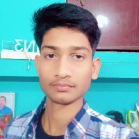 Priyanshu Raj-Freelancer in Magadh Division,India
