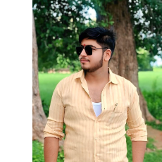 Gaurav Shukla-Freelancer in Sheopur Mafi,India