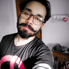 Anirban Basak-Freelancer in Phulia,India