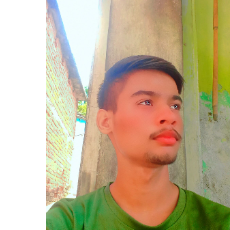 Krishna Tiwari-Freelancer in Dhurwai,India