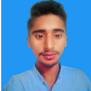 Malik Mehboob-Freelancer in Bahawal Pur,Pakistan