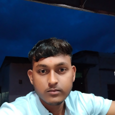 Bhagyesh Shivamurti-Freelancer in Kesar Jawalga,India