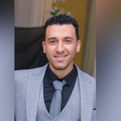 Mohamed Habib-Freelancer in Cairo,Egypt