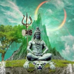 Sohail Buddy-Freelancer in Garhshankar,India