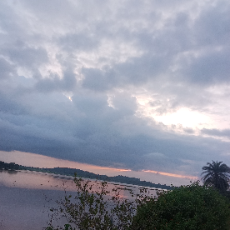 Deeksha Markam-Freelancer in Bichhiya Ryt.,India