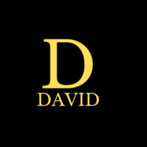 David Ajileye-Freelancer in Lagos,Nigeria