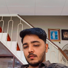 Vaibhav Mehta-Freelancer in Penha de Franc,India