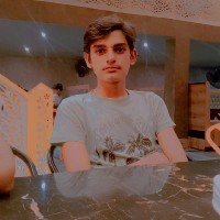 Ali Hamza-Freelancer in Kasur,Pakistan