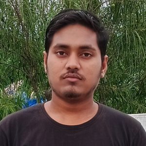 Gangaram Sahu-Freelancer in Raipur,India