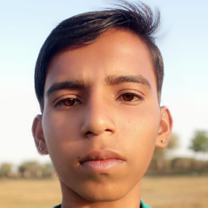 Sita Ram-Freelancer in nagaur,India