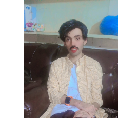 Syed Muhammad Mehdi-Freelancer in Bahawalpur,Pakistan