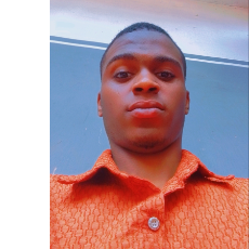 Alex Augustine Ndubuisi-Freelancer in Auchi,Nigeria