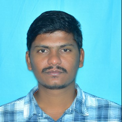 Naveen G-Freelancer in Madri,India