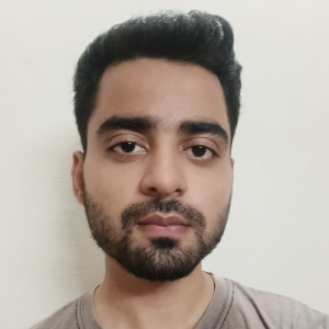 Ankit Verma-Freelancer in NEW DELHI,India