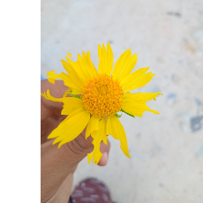 sucaada Abdi Salaam-Freelancer in Mogadishu,Somalia, Somali Republic