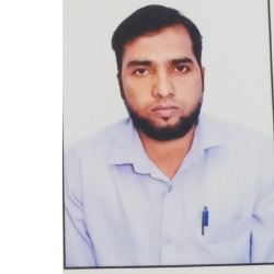 Mohamad Sadique-Freelancer in Shivamogga,India