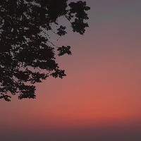 Alok Dutta-Freelancer in Raipur Division,India