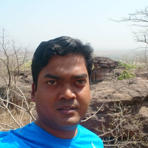 Sourajit Swain-Freelancer in Cuttack,India